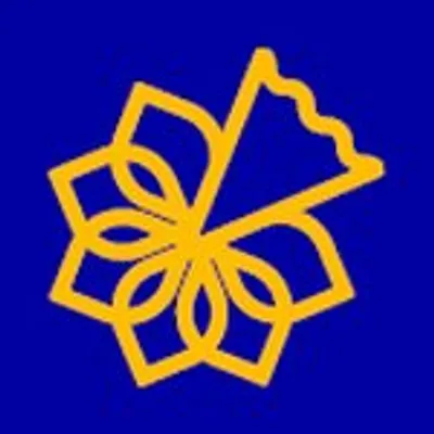 Irish Cancer Society profile