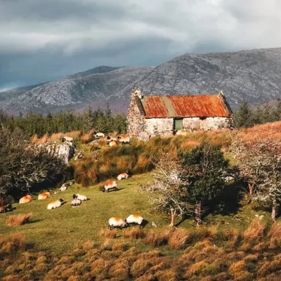 Ireland Travel Guide profile