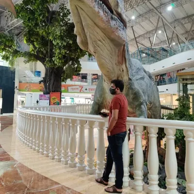 яσнιт 🇮🇳 profile