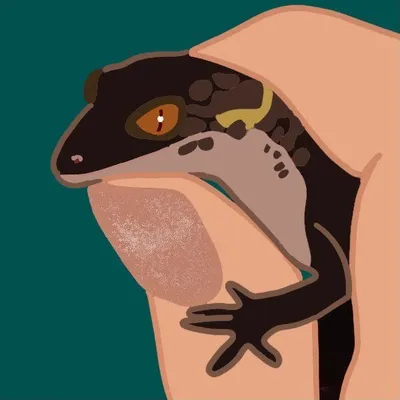 is_reptiles profile