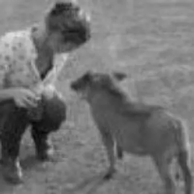 Isabelle Vander Heyde profile