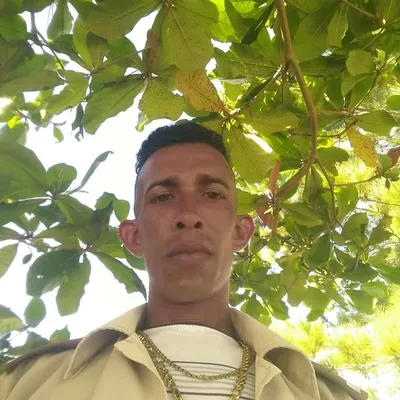 isel profile