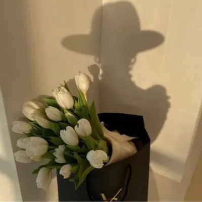 شيلاز 🍯 profile