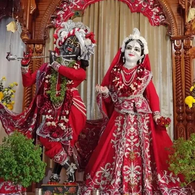 Hare Krishna Movement profile