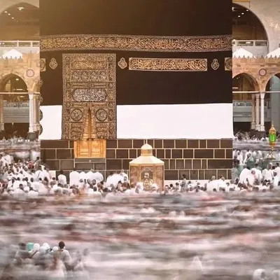 Islam profile