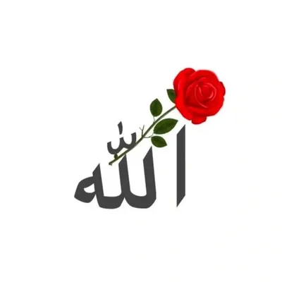 Islami post profile