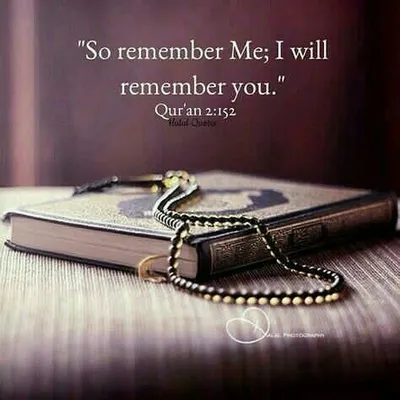 🌻_Ummati_of_Muhammad__ ﷺ _🌻 profile
