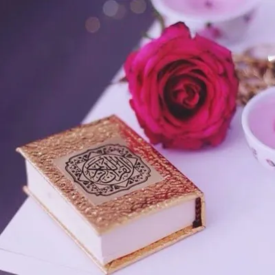 Islamic Quotes profile