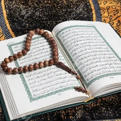 islamic_shorts🇹🇷 profile