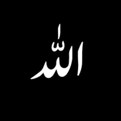 Islamic Videos ๐ต Official profile