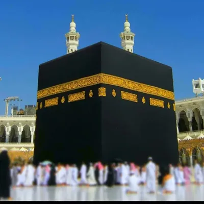 ISLAM ( اسلام ) profile