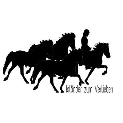 Anja (25) & 21 Isländer vom Lechtalhof 🐴 profile