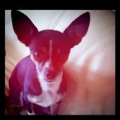 ita ita profile