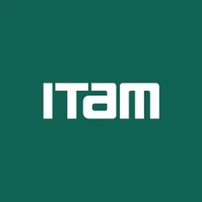 ITAM profile