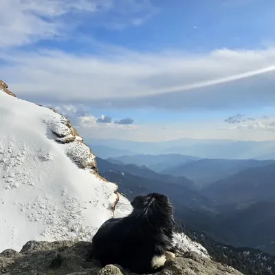 कृति चौहान profile