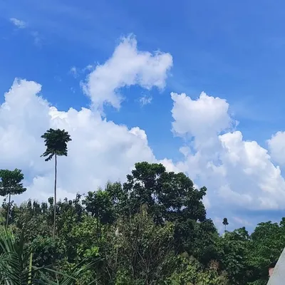 ☁ profile