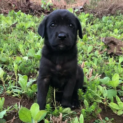 Lucky18 profile