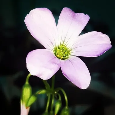 its all about nature profile