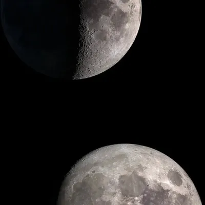 <Rishuπ profile