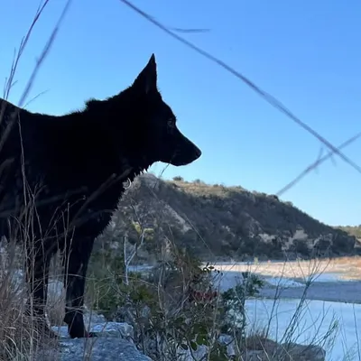 Duke & Abby profile