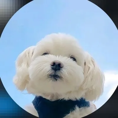 strange profile
