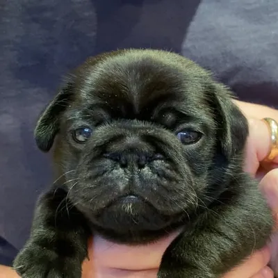 ERNIE ๐พ profile