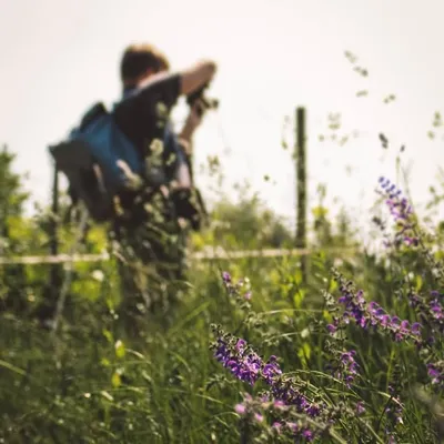 Michaels Photography profile