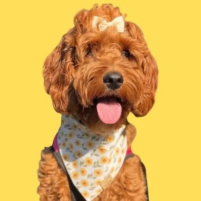 Luna ๐ profile