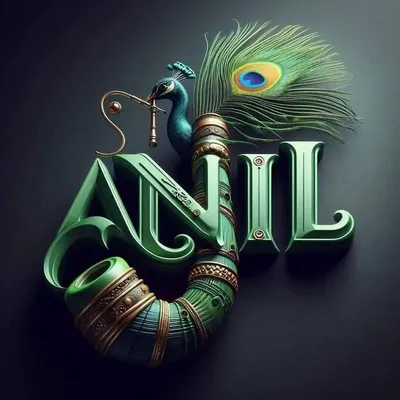 Anil Khichi profile