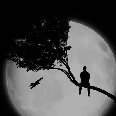 ♥️...रोहित...🥀 profile