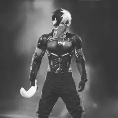 DZOK profile