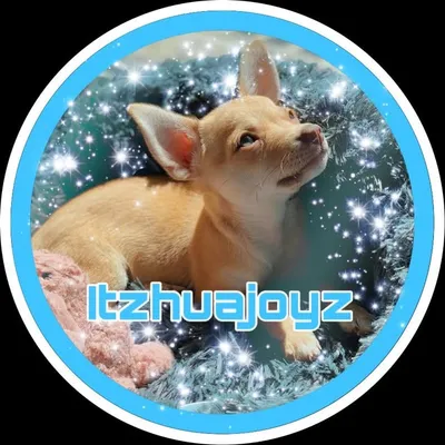 Lacee♡ profile
