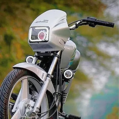 Splendor Modified profile