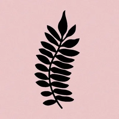 Jacaranda Books profile