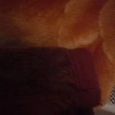 jack profile