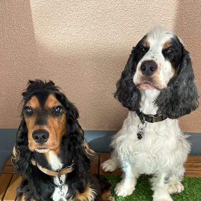 Jack & Jay profile