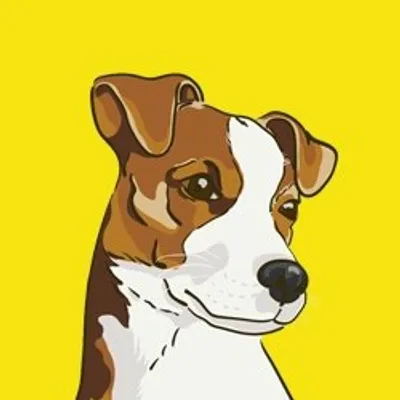 Jack Russell Terriers ๐พ profile