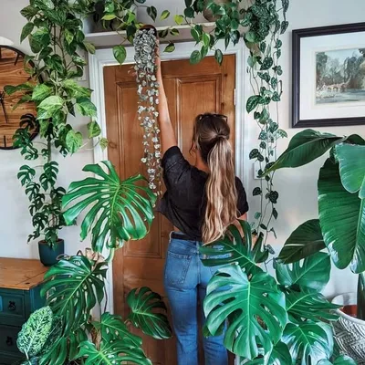 Jade's Junglegram ๐ฟ๐ฌ๐ง profile