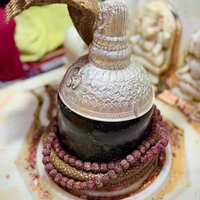 🌼 जागेश्वर नाथ महादेव सांभर लेक official page 🌼🕉️ profile