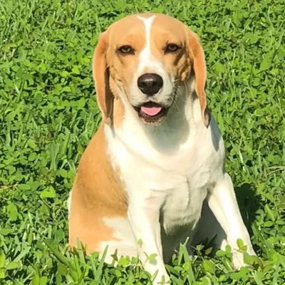 Jagger Ruales profile