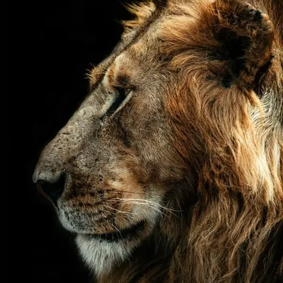 Jagroop S Sandhu profile