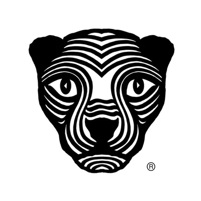 Jaguar Forest Coffee profile