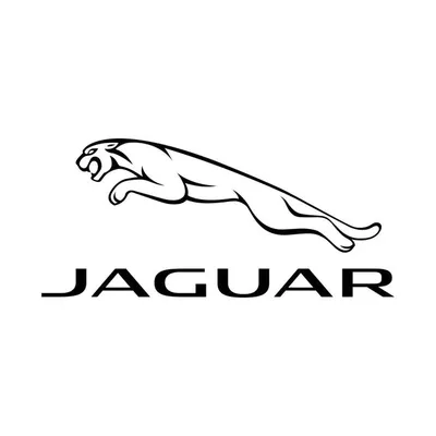 Jaguar Russia profile