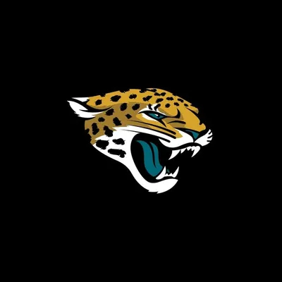 Jacksonville Jaguars profile