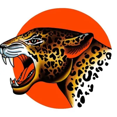 Jaguar Sun profile