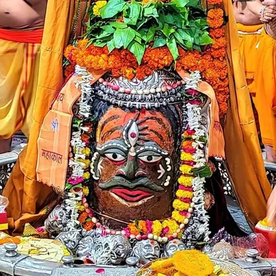 RAJPUTANA ™ profile