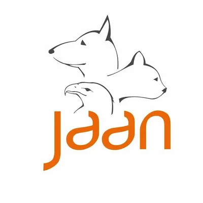 JAAN profile