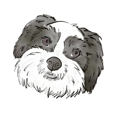 ❤️🎾🐾K I N G J A K E🐾🎾❤️ profile