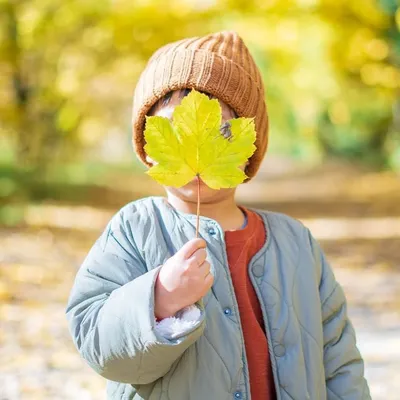 Tiny Travels profile