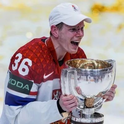 Jakub Krejčík profile